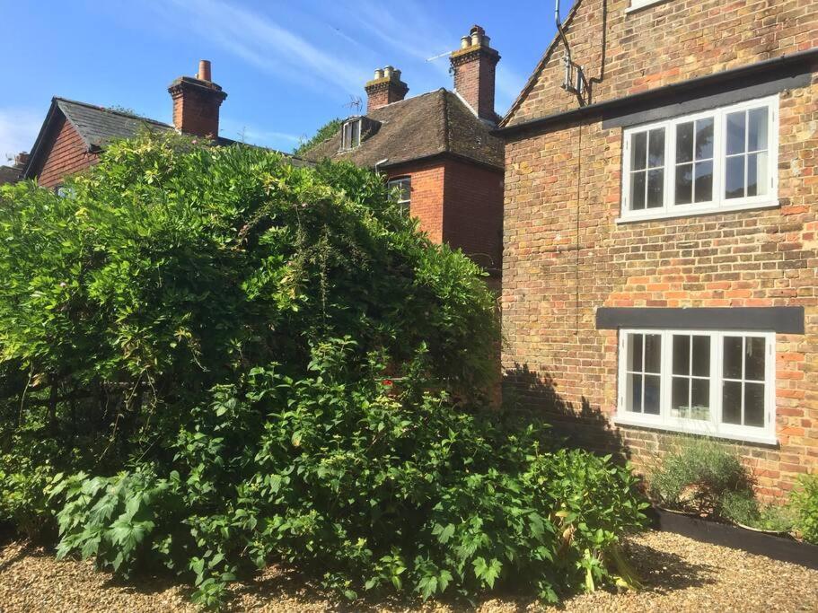 Beautiful 500 Year Old Listed Kentish Cottage Wingham Eksteriør bilde