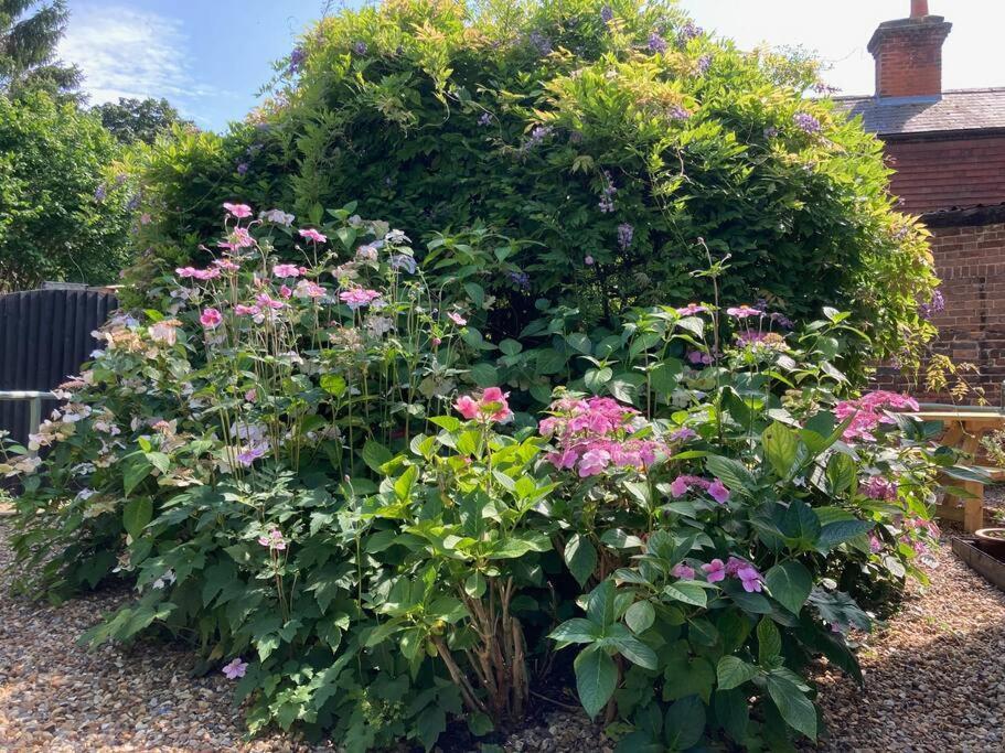 Beautiful 500 Year Old Listed Kentish Cottage Wingham Eksteriør bilde