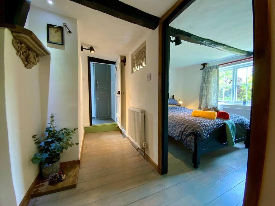 Beautiful 500 Year Old Listed Kentish Cottage Wingham Eksteriør bilde